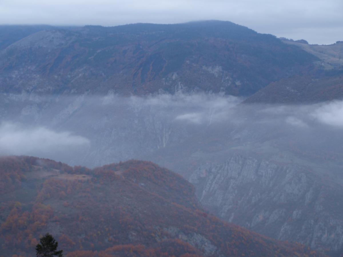 Guesthouse Ukus Durmitora Zabljak  Luaran gambar